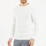 Crewneck Patterned Knit Sweater // White (L)