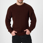 Crewneck Knit Sweater // Brown (M)