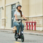 GoFlow Electric Scooter