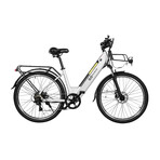 GoVelo Electric Bike