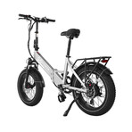 GoCruiser V2 Electric Bike // Silver