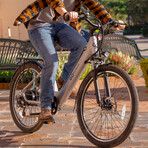 GoVelo Electric Bike