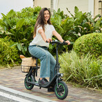 GoFlow Electric Scooter