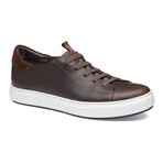 Anson Lace-To-Toe Leather Sneakers // Dark Brown (8)