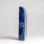 Genuine Polished Lapis Lazuli Freeform from Afghanistan // 2 lbs // v.1