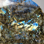 Genuine Polished Labradorite Freeform from Madagascar // 8.5 lbs