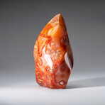 Genuine Polished Carnelian Agate Freeform from Madagascar // 2.1 lbsGenuine