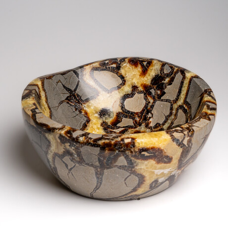 Genuine Polished Septarian Bowl from Madagascar // 4.4 lbs