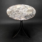 Genuine Large Polished Howlite Round Table Top // 19.5 lbs