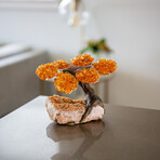 Small Genuine Citrine Clustered Gemstone Tree on Citrine Matrix // The Calming Tree