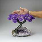 Custom Genuine Amethyst Clustered Gemstone Tree on Amethyst Matrix // The Protection Tree // v.7