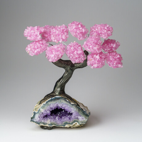 Custom Genuine Rose Quartz Clustered Gemstone Tree on Amethyst matrix // The Love Tree // v.6