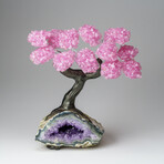 Custom Genuine Rose Quartz Clustered Gemstone Tree on Amethyst matrix // The Love Tree // v.6