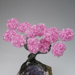 Custom Genuine Rose Quartz Clustered Gemstone Tree on Amethyst matrix // The Love Tree // v.1