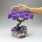 Custom Genuine Amethyst Clustered Gemstone Tree on Amethyst Matrix // The Protection Tree // v.3