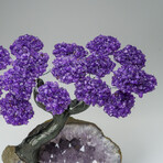 Custom Genuine Amethyst Clustered Gemstone Tree on Amethyst Matrix // The Protection Tree // v.7