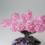 Custom Genuine Rose Quartz Clustered Gemstone Tree on Amethyst matrix // The Love Tree // v.5