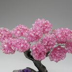 Custom Genuine Rose Quartz Clustered Gemstone Tree on Amethyst matrix // The Love Tree // v.4