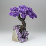 Custom Genuine Amethyst Clustered Gemstone Tree on Amethyst Matrix // The Protection Tree // v.1