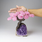 Custom Genuine Rose Quartz Clustered Gemstone Tree on Amethyst matrix // The Love Tree // v.3