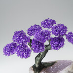 Custom Genuine Amethyst Clustered Gemstone Tree on Amethyst Matrix // The Protection Tree // v.4