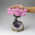 Custom Genuine Rose Quartz Clustered Gemstone Tree on Amethyst matrix // The Love Tree // v.1