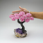 Custom Genuine Rose Quartz Clustered Gemstone Tree on Amethyst matrix // The Love Tree // v.4