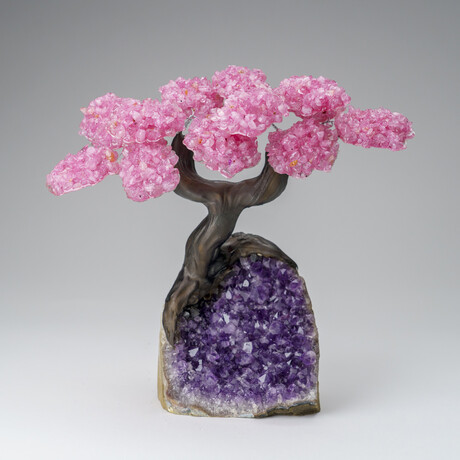 Custom Genuine Rose Quartz Clustered Gemstone Tree on Amethyst matrix // The Love Tree // v.3