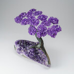 Custom Genuine Amethyst Clustered Gemstone Tree on Amethyst Matrix // The Protection Tree // v.2