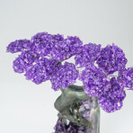 Custom Genuine Amethyst Clustered Gemstone Tree on Amethyst Matrix // The Protection Tree // v.6