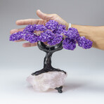 Custom Genuine Amethyst Clustered Gemstone Tree on Rose Quartz Matrix // The Protection Tree