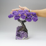 Custom Genuine Amethyst Clustered Gemstone Tree on Amethyst Matrix // The Protection Tree // v.1