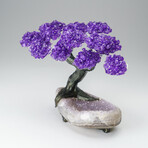 Custom Genuine Amethyst Clustered Gemstone Tree on Amethyst Matrix // The Protection Tree // v.4