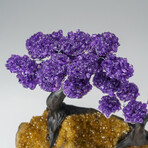 Custom Genuine Amethyst Clustered Gemstone Tree on Citrine Matrix // The Empowerment Tree // v.2