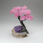 Custom Genuine Rose Quartz Clustered Gemstone Tree on Amethyst matrix // The Love Tree // v.4