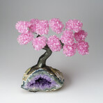 Custom Genuine Rose Quartz Clustered Gemstone Tree on Amethyst matrix // The Love Tree // v.6