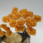 Custom Genuine Citrine Clustered Gemstone Tree on Citrine Matrix // The Calming Tree