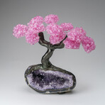 Custom Genuine Rose Quartz Clustered Gemstone Tree on Amethyst matrix // The Love Tree // v.2