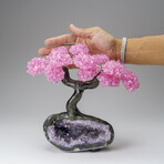 Custom Genuine Rose Quartz Clustered Gemstone Tree on Amethyst matrix // The Love Tree // v.2