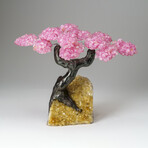 Custom Genuine Rose Quartz Clustered Gemstone Tree on Citrine Matrix // The Comfort Tree