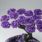 Custom Genuine Amethyst Clustered Gemstone Tree on Amethyst Matrix // The Protection Tree // v.2