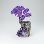 Custom Genuine Amethyst Clustered Gemstone Tree on Amethyst Matrix // The Protection Tree // v.6