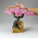 Custom Genuine Rose Quartz Clustered Gemstone Tree on Citrine Matrix // The Comfort Tree