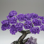 Custom Genuine Amethyst Clustered Gemstone Tree on Amethyst Matrix // The Protection Tree // v.3