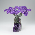 Custom Genuine Amethyst Clustered Gemstone Tree on Amethyst Matrix // The Protection Tree // v.6