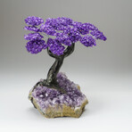 Custom Genuine Amethyst Clustered Gemstone Tree on Amethyst Matrix // The Protection Tree // v.3