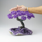 Custom Genuine Amethyst Clustered Gemstone Tree on Amethyst Matrix // The Protection Tree // v.2