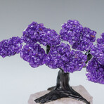 Custom Genuine Amethyst Clustered Gemstone Tree on Rose Quartz Matrix // The Protection Tree