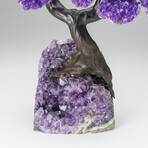 Custom Genuine Amethyst Clustered Gemstone Tree on Amethyst Matrix // The Protection Tree // v.1