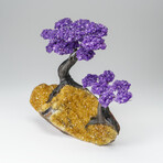 Custom Genuine Amethyst Clustered Gemstone Tree on Citrine Matrix // The Empowerment Tree // v.2